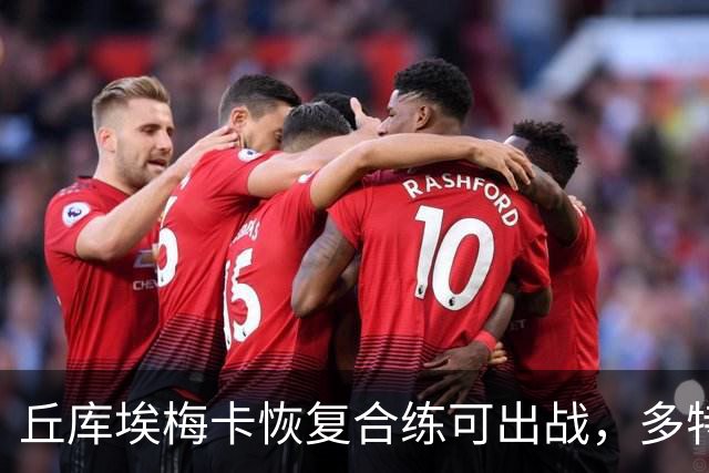 丘库埃梅卡恢复合练可出战，多特门将迈尔因病存疑