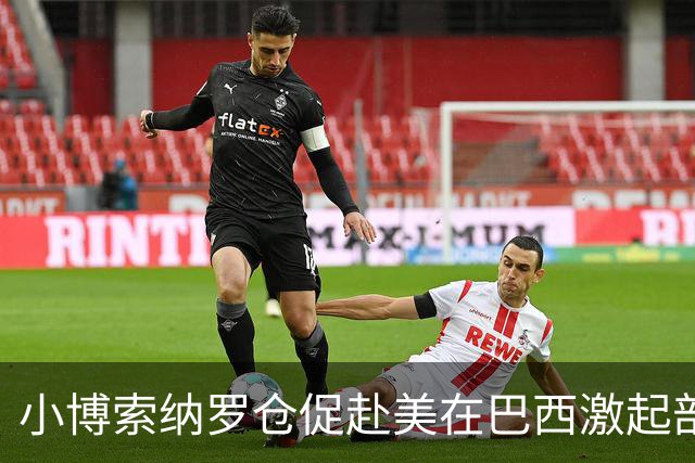 小博索纳罗仓促赴美在巴西激起部分民众愤慨