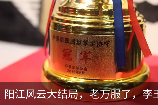 阳江风云大结局，老万服了，李玉良再次消失